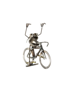 Small Finish Line Bike