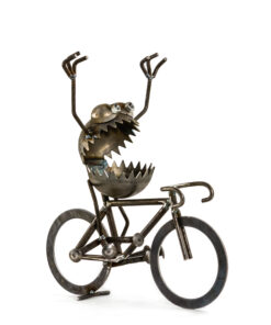 Medium Finish Line Bike