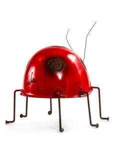 Alternative view of Ladybug