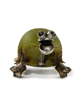 Alternative view of Turtle