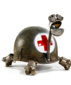 Red Cross Turtle