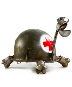 Alternative view of Red Cross Turtle
