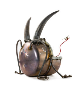 Alternative view of Large Bull Frog With Plug Bug