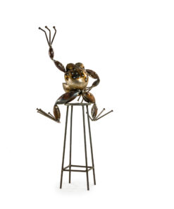 Alternative view of Toad Stool