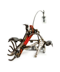 Alternative view of Hammer Head Angler Fish