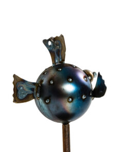 Alternative view of Small Blow Fish