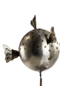 Alternative view of Large Blow Fish