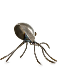 Alternative view of Octopus