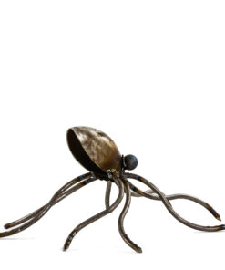 Alternative view of Small Octopus