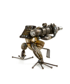 Alternative view of Battle Frog "Boom"