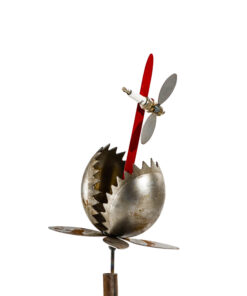 Medium Venus Fly Trap