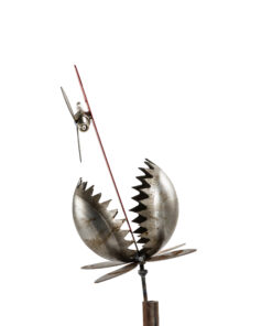 Alternative view of Medium Venus Fly Trap