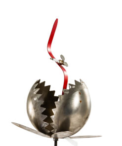 Large Venus Fly Trap With Stake