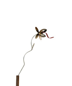 Mini Venus Fly Trap set of 3