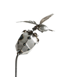 Humming Bird Tulip (With Stake)