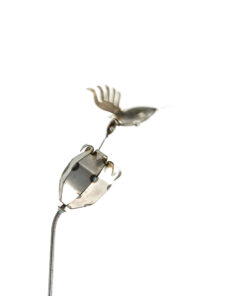 Alternative view of Humming Bird Tulip (With Stake)