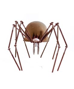 Alternative view of Helmet Spider